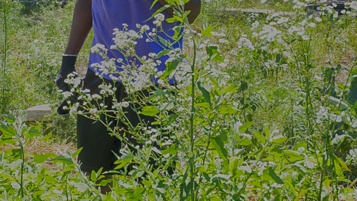 Gardening the Community Garden #77_1 © 2020 Patricia Crutchfield