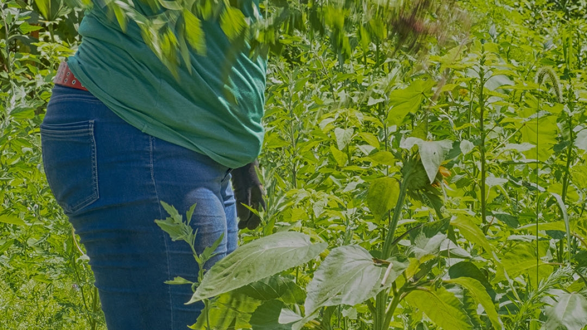 Gardening the Community Garden #77_2 © 2020 Patricia Crutchfield