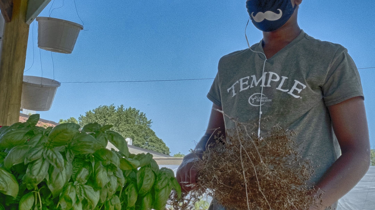 Gardening the Community Garden #78_1 © 2020 Patricia Crutchfield