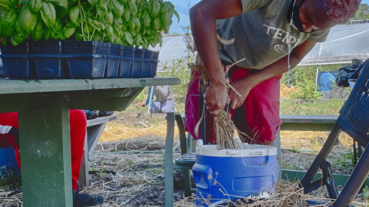 COMMUNITIES OF HOPE: GARDENING THROUGH THE PANDEMIC” BY PATRICIA CRUTCHFIELD