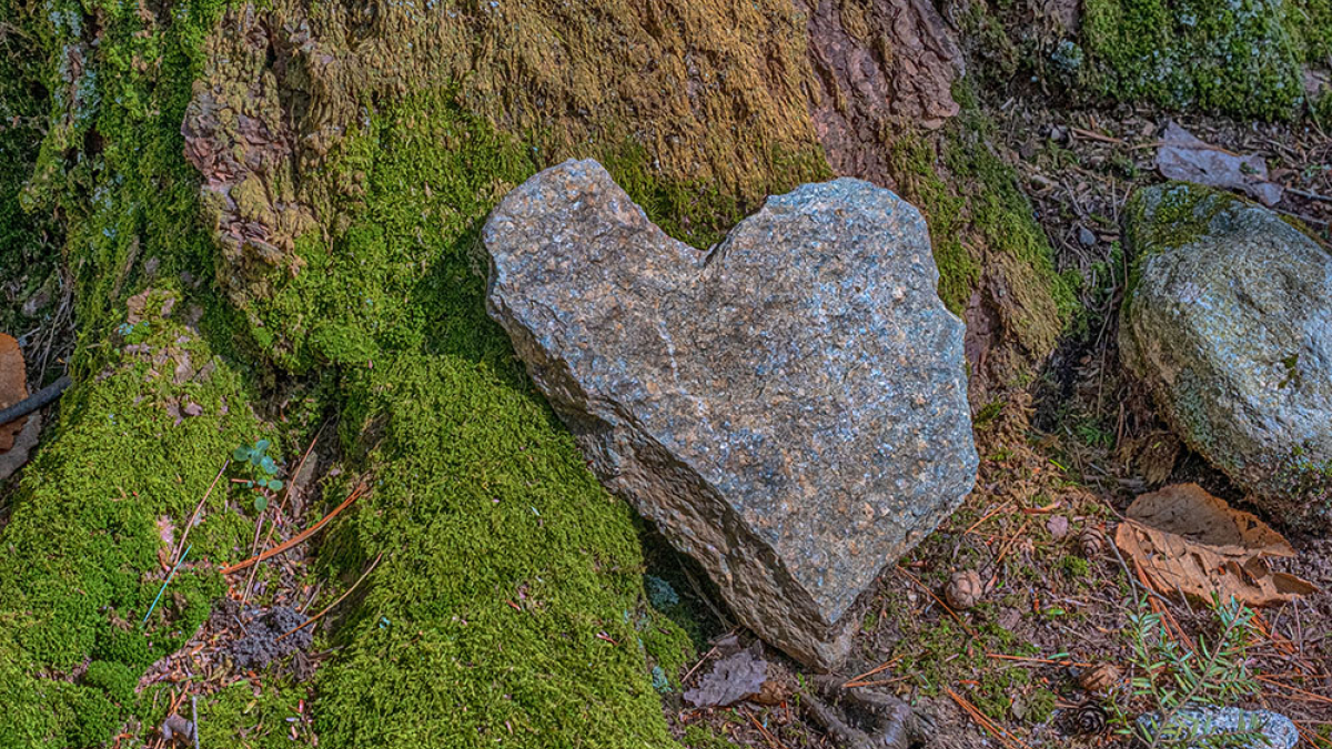 Along the Path © Pat Crutchfield