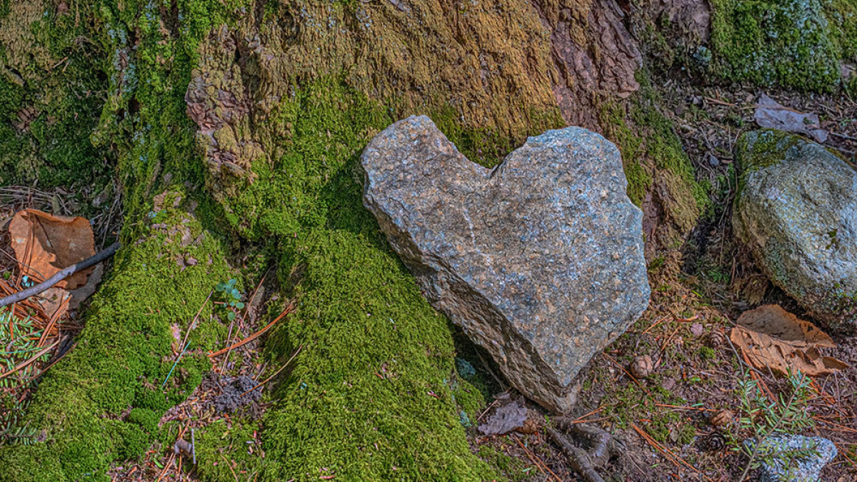 Heart Rock at Wentworth Farm © 2022 Patricia Crutchfield