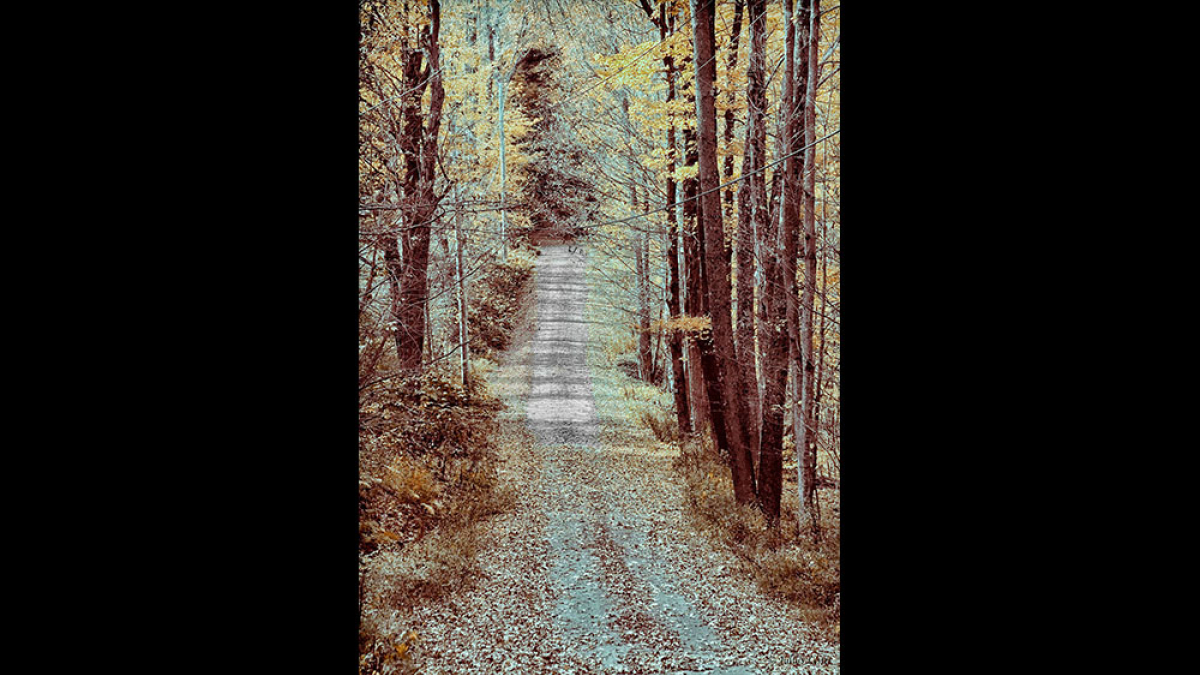 Autumn Road, Hawley © Julius Lester only $300