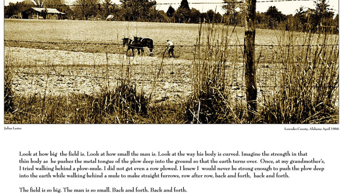 Back and Forth  1966 Julius Lester SOLD