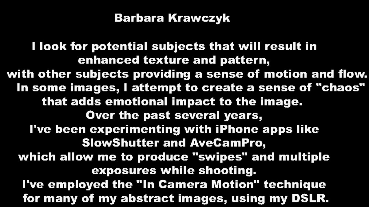 Barb Krawczyk Artist Statement