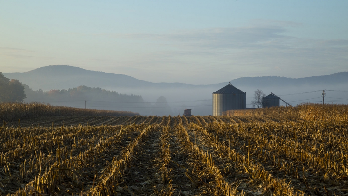 Mill Valley at Dawn © Josh Baum, 2017