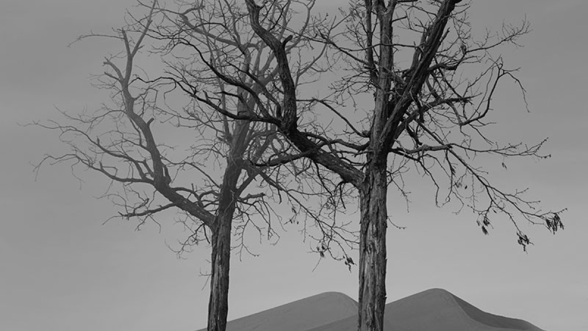 Landscape 1 © 2021 Thierry Borcy