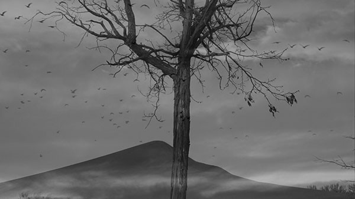 Landscape 2 © Thierry Borcy