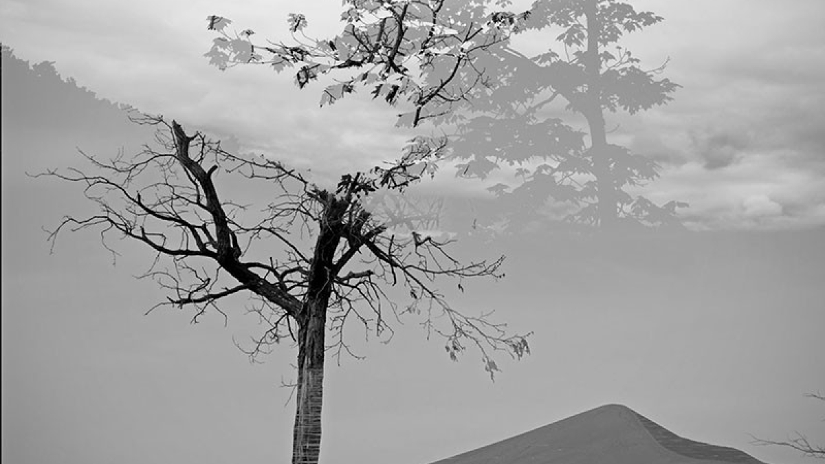 Landscape 2 © 2021 Thierry Borcy