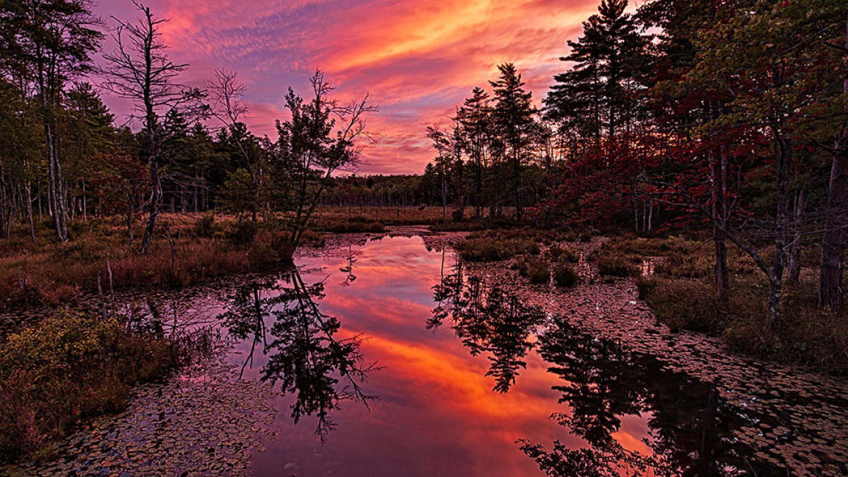 Bow Brook Sunrise © Steve Gingold