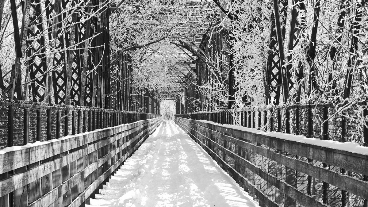 Rail Trail Snow © Marc Bussiere, 2018