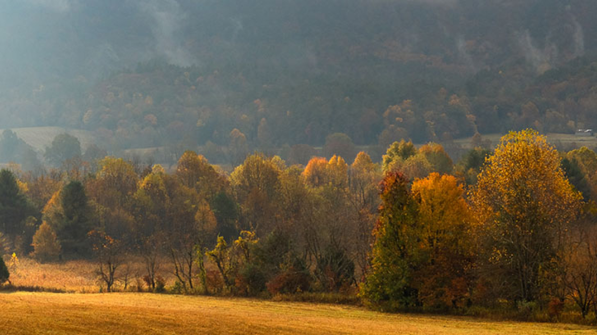 Cades Cove Lifting Mist © 2022 Rosemary Polletta