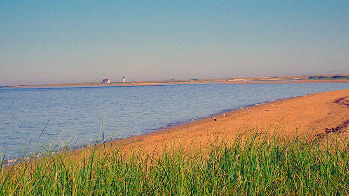 SOLD Cape Cod, © 2004 Julius Lester only $300