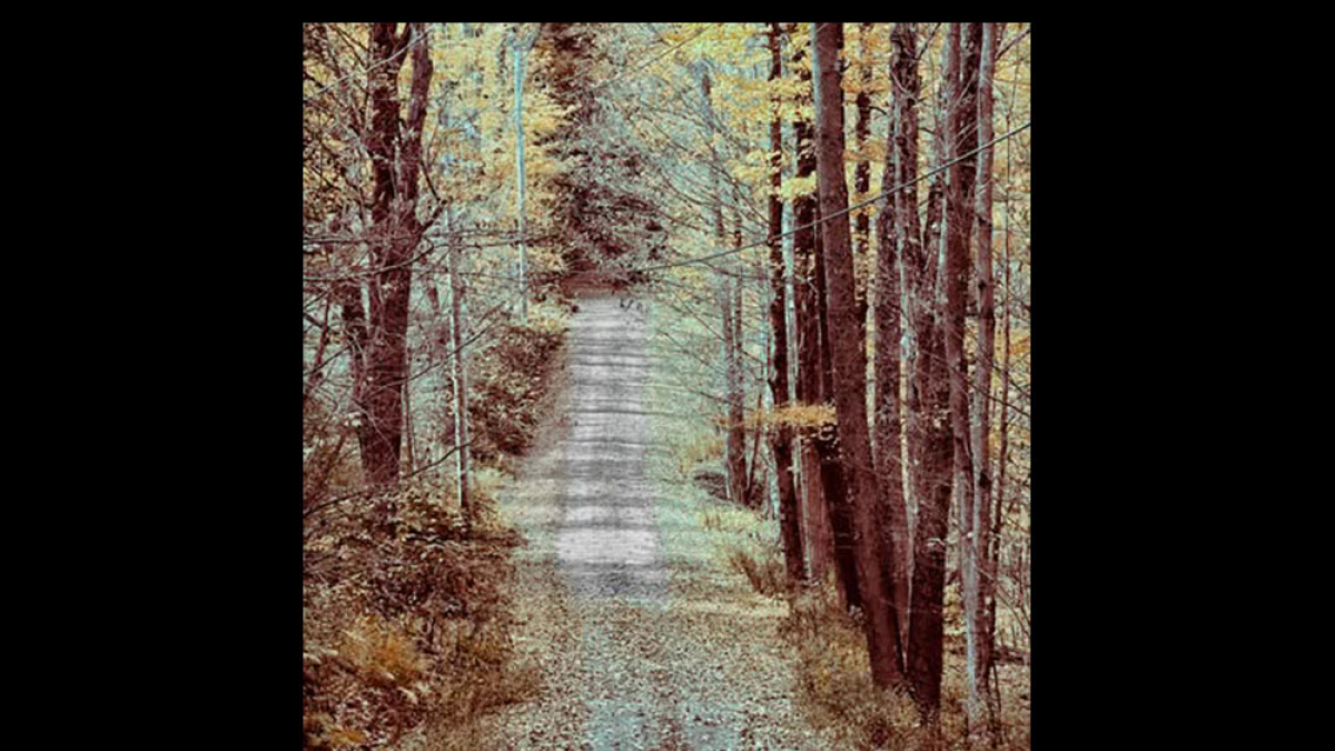 Country Road © Julius Lester   $125