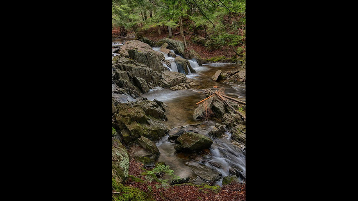 Go With the Flow © Pat Crutchfield