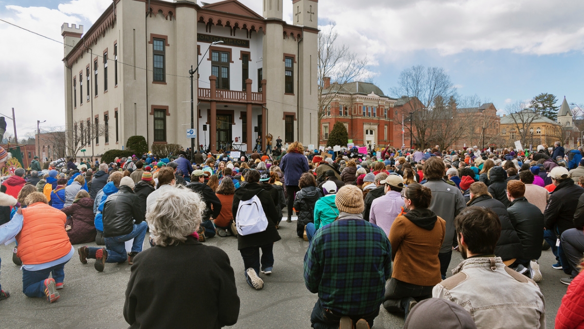 Hamp Protest © Judy Cummings, 2018