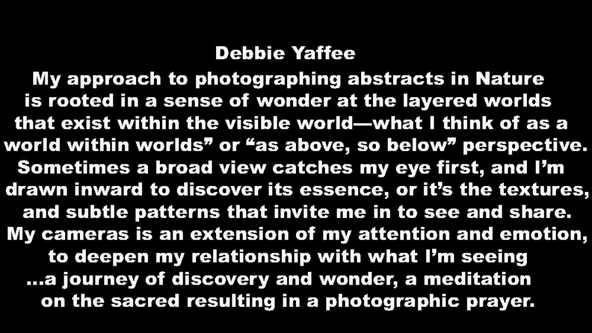 Debbie Yaffee Artist Statement