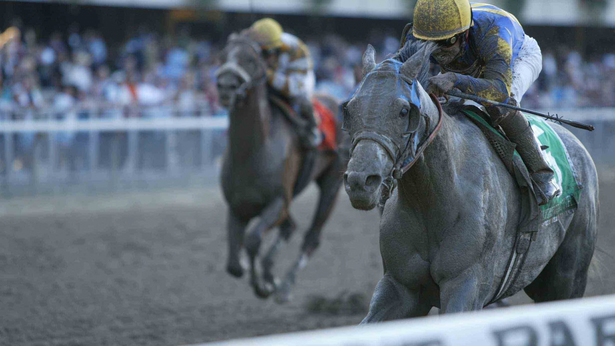 Evening Attire with Shaun Bridgmohan up wins the 2002 Jockey Gold Cup at Belmont Park by Vincent Dusovic