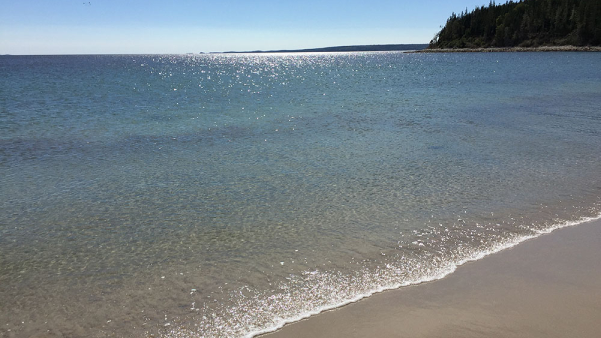 Coastline  © Robert Floyd