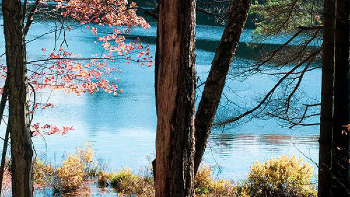 Autumn, Granville © 2021 Robert Floyd