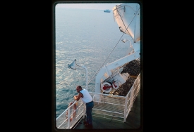 photo for Time to Reflect