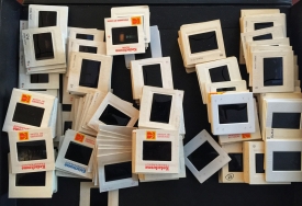 photo for The photo purge has officially begun…