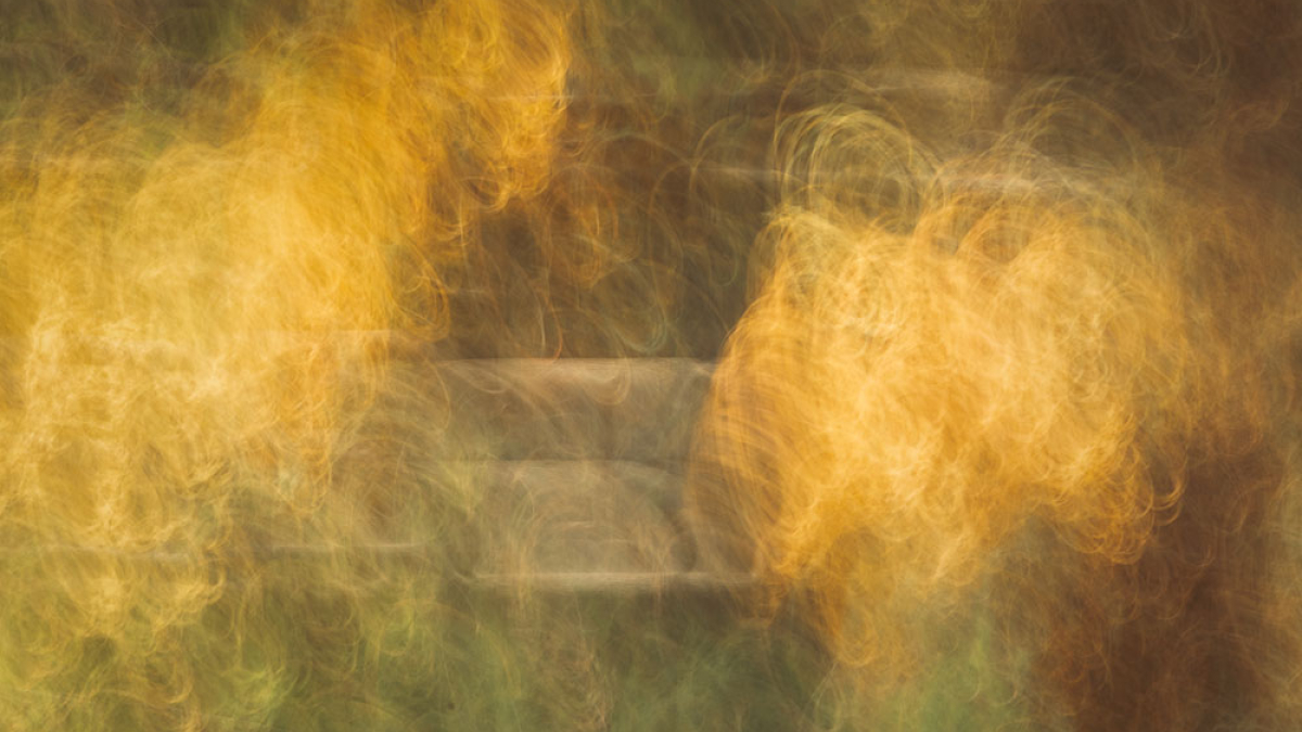 Forest Abstract_The Bench © 2022 Rosemary Polletta