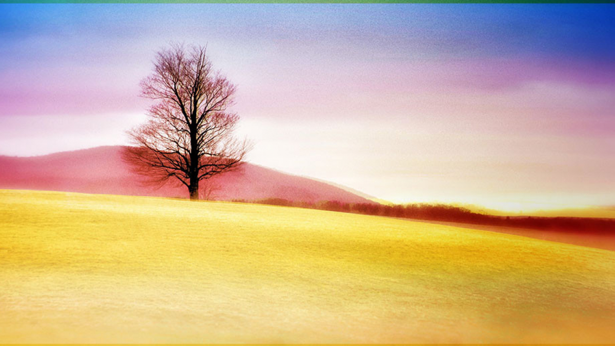 Rhapsody © 2019 Mikki Gamble