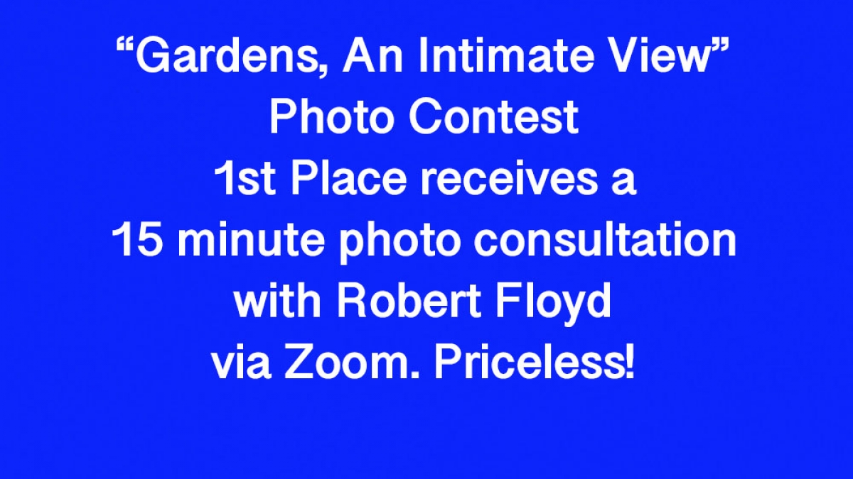 Join in the fun. Share your vision. Looking forward.