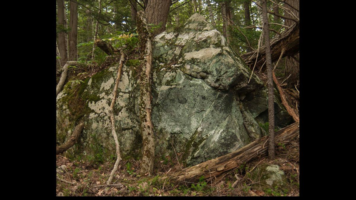 Entwined © Laura George