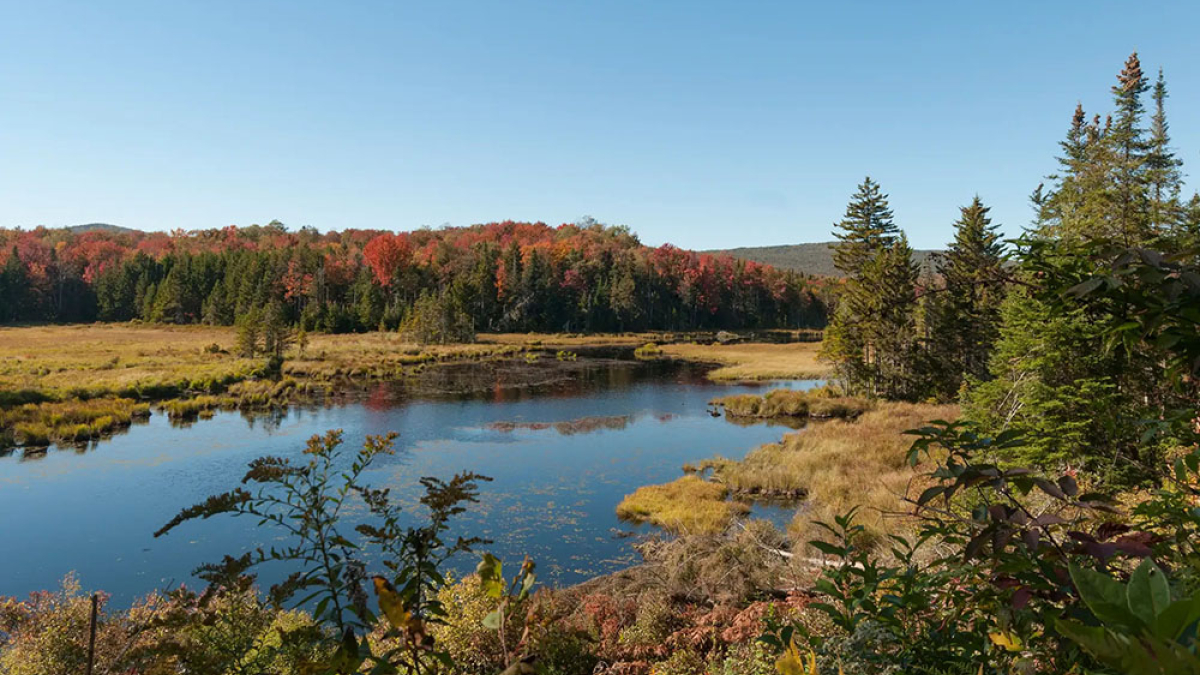 Green Mountain National Park Pond © Laura Georgel