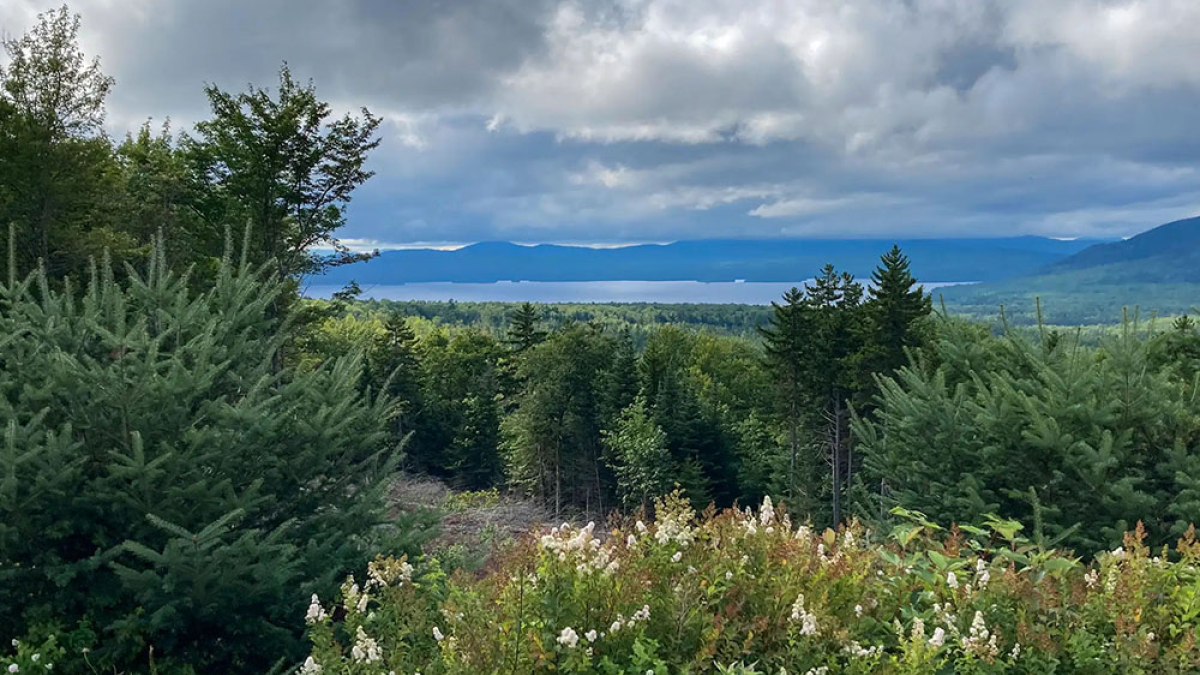 Rangley Lakes View © Laura George