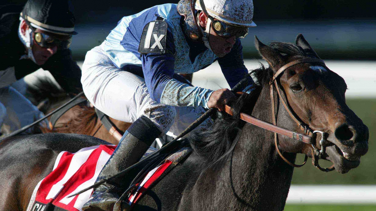 Glia with Javier Castellano up wins the 2002 Pebbles at Belmont Park by Vincent Dusovic