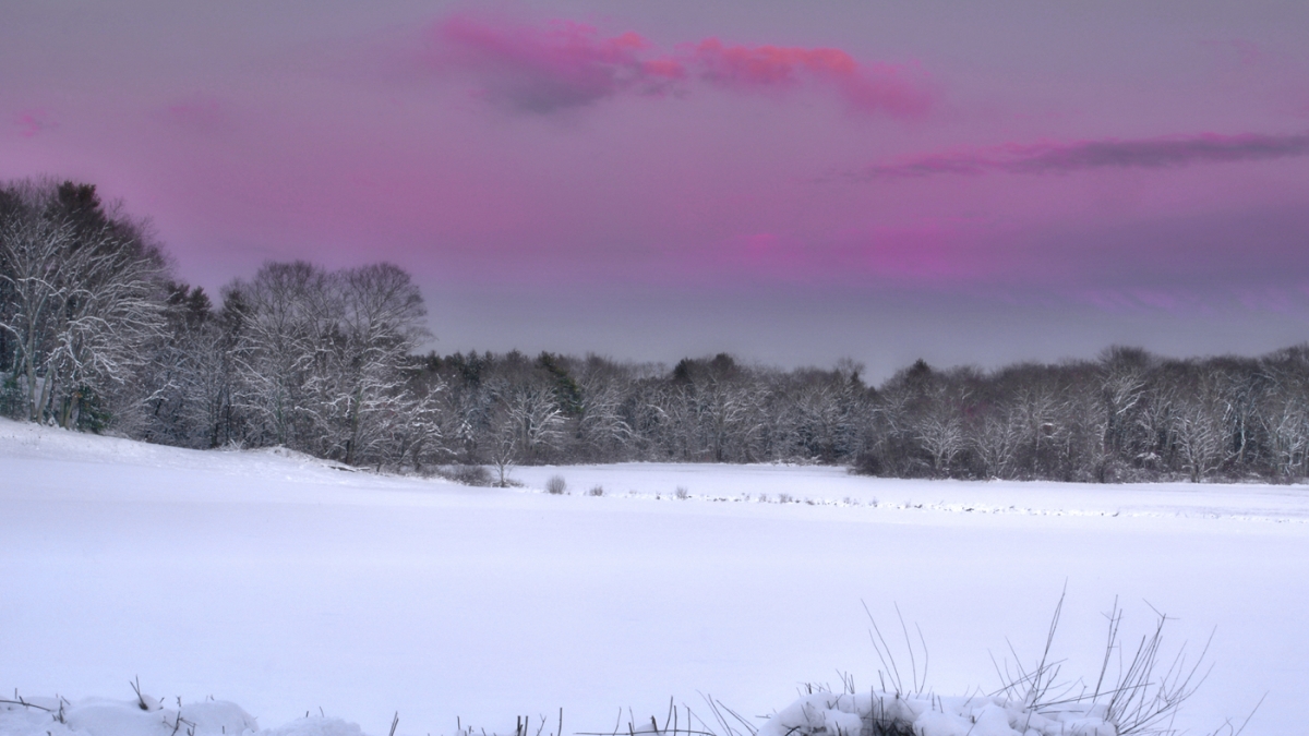 Rosado Cielo at Sunset © Jack Grimaldi, 2018