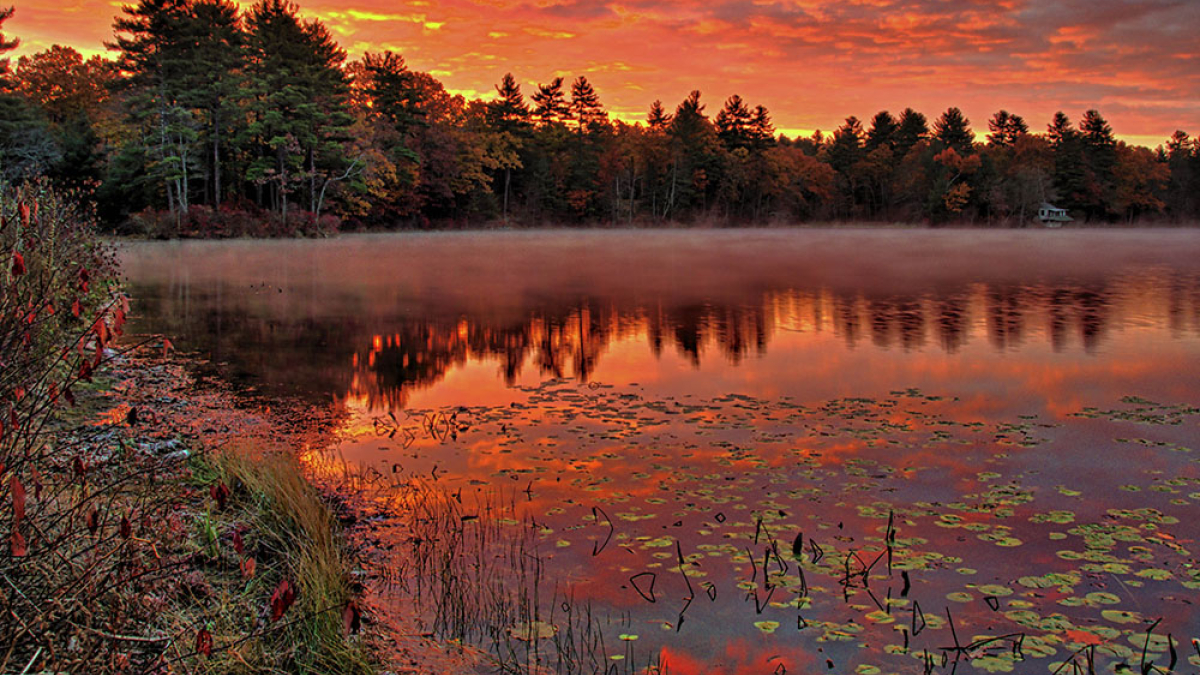 Sunrise at Forest Lake © Jack Grimaldi