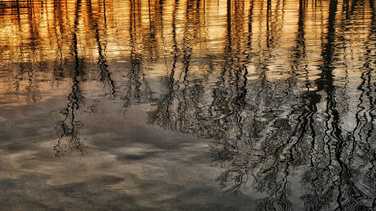 The Shimmer of Autumn Air © Jack Grimaldi