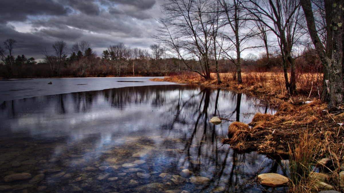 Wentworth Farm Pond © Jack Grimaldi, 2018