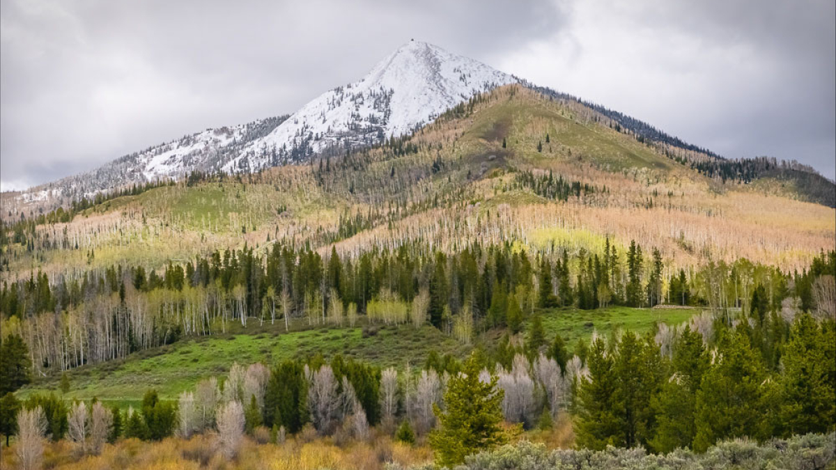 Haynes Peak © 2022 Joyce Doty