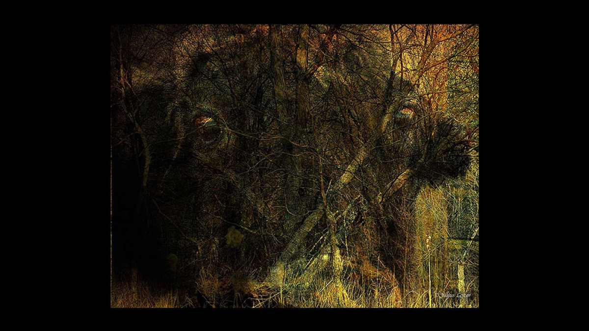 Have Your Eyes Ever Felt Like This © Julius Lester only $300