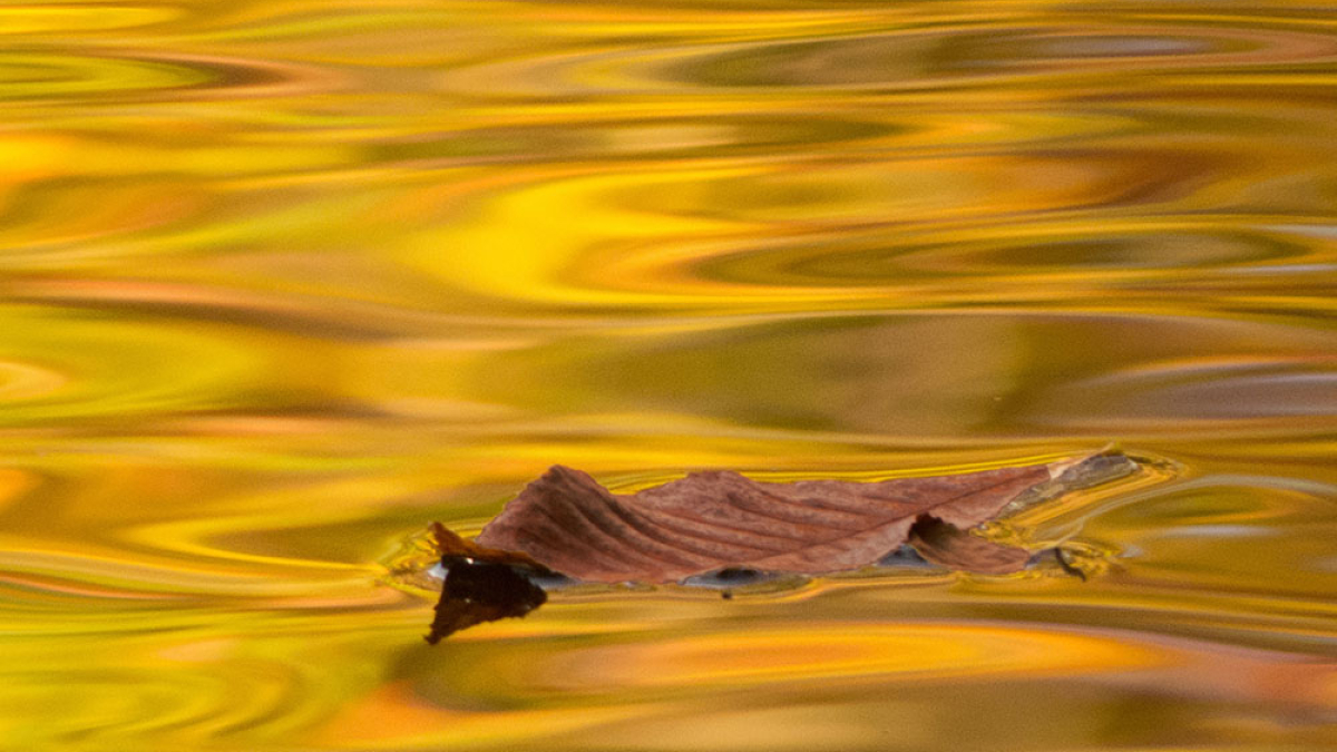 Memory © Ed Hodgson