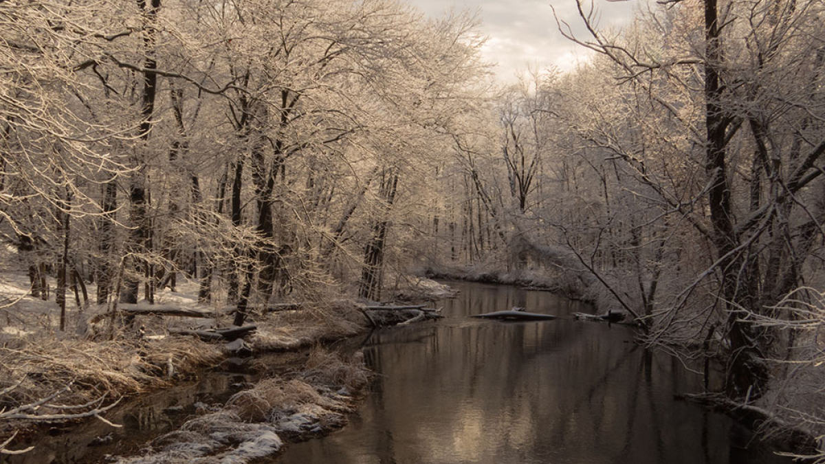 Snow Light © Ed Hodgson