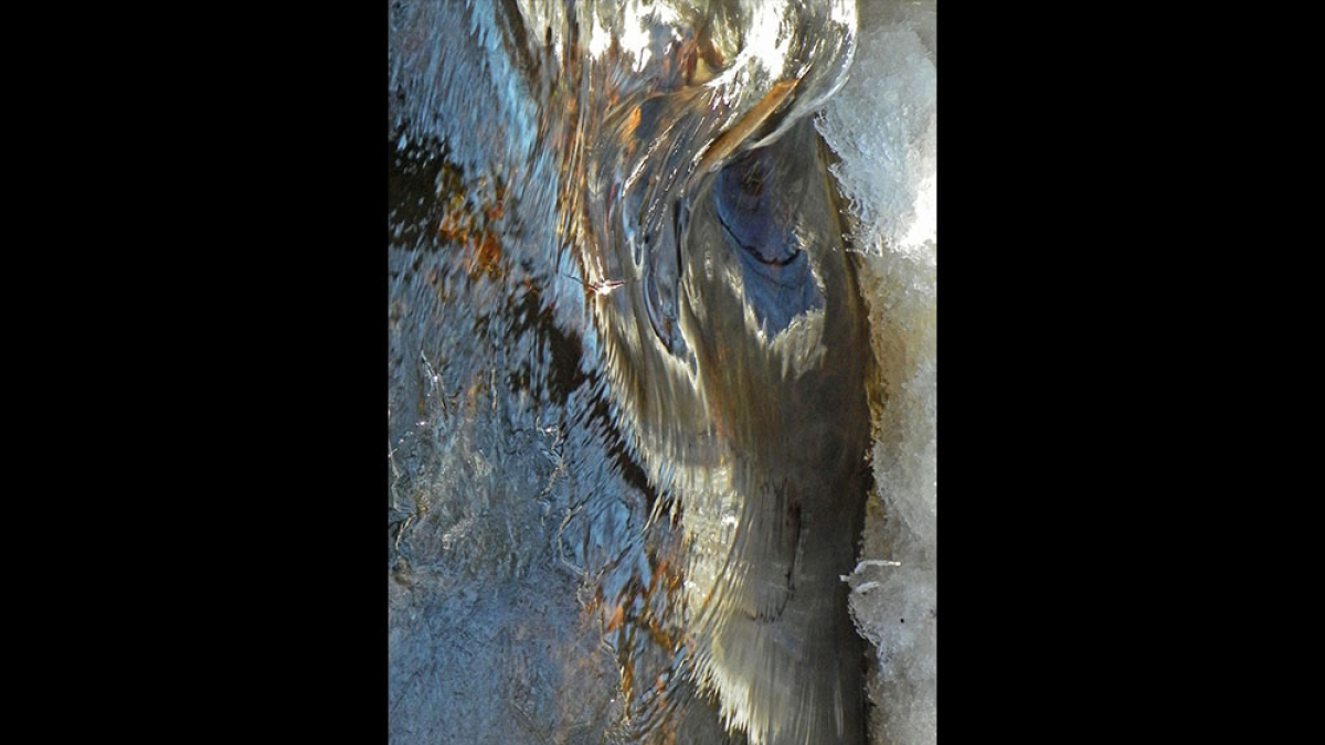 Winter Specter © Ed Hodgson