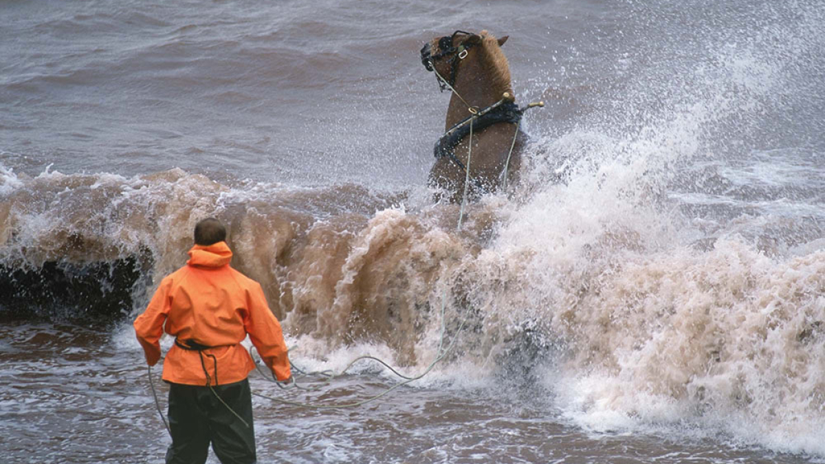 Irish Moss harvest, Prince Edward Island © Robert Floyd
