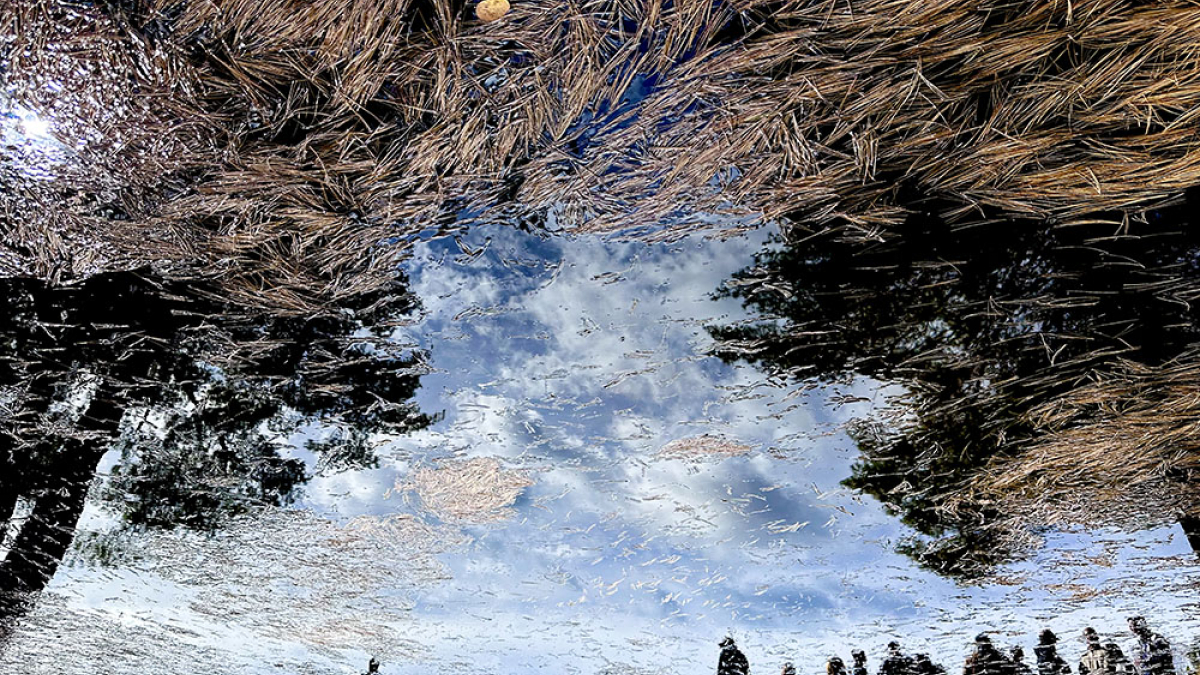 Reflection 1214 © 2023 Dave Madeloni