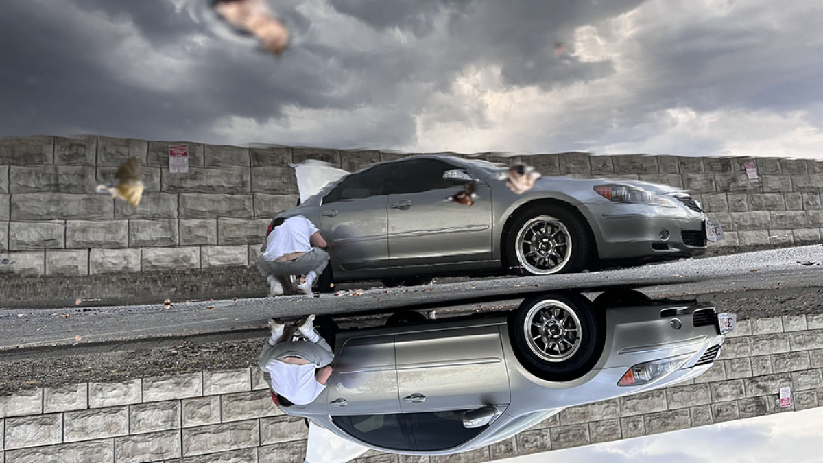 Reflection 2297 © 2023 Dave Madeloni