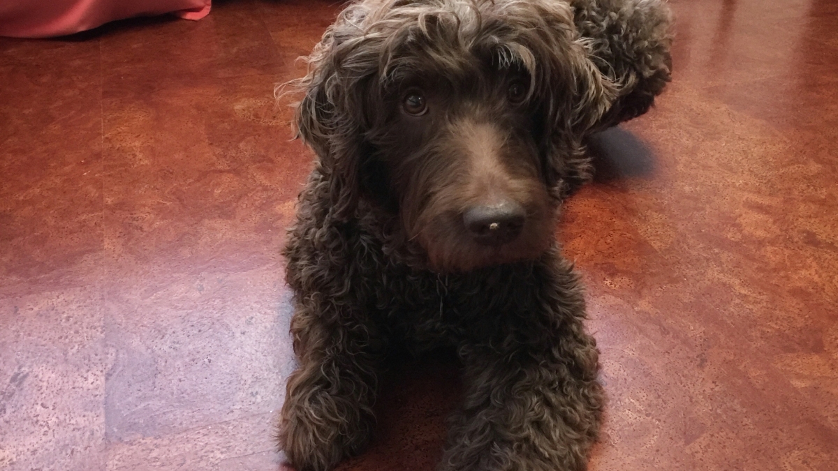 photo of or by Kiefer