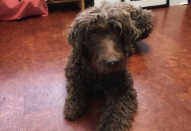 photo of or by Kiefer