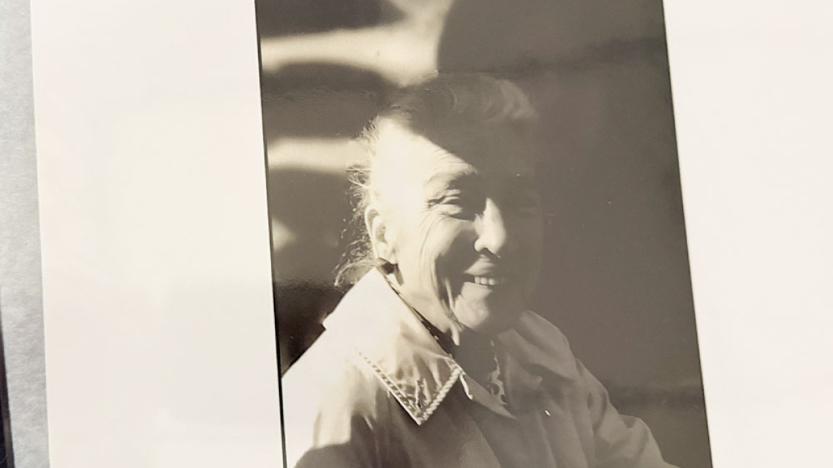 Protester, D.C. © 1966 Julius Lester   $150