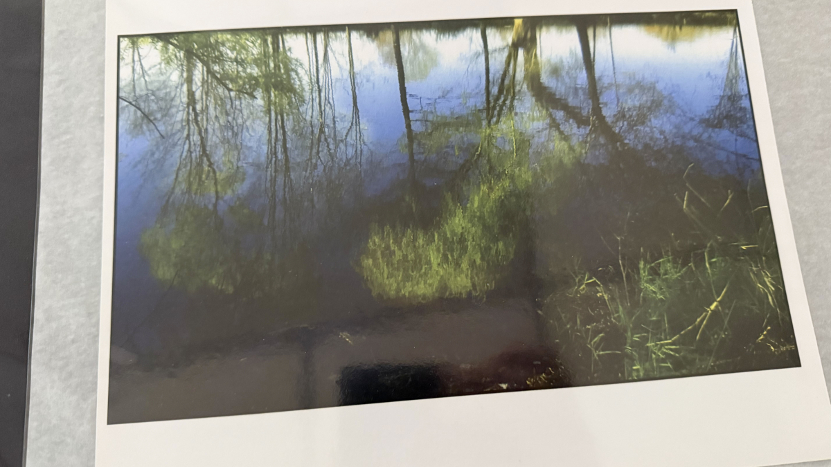 Roadside Stream © Julius Lester   $125