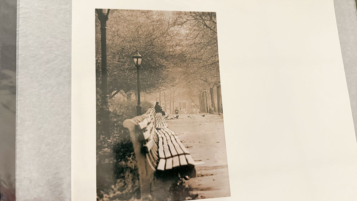 Benches, NYC © 1966 Julius Lester   $150